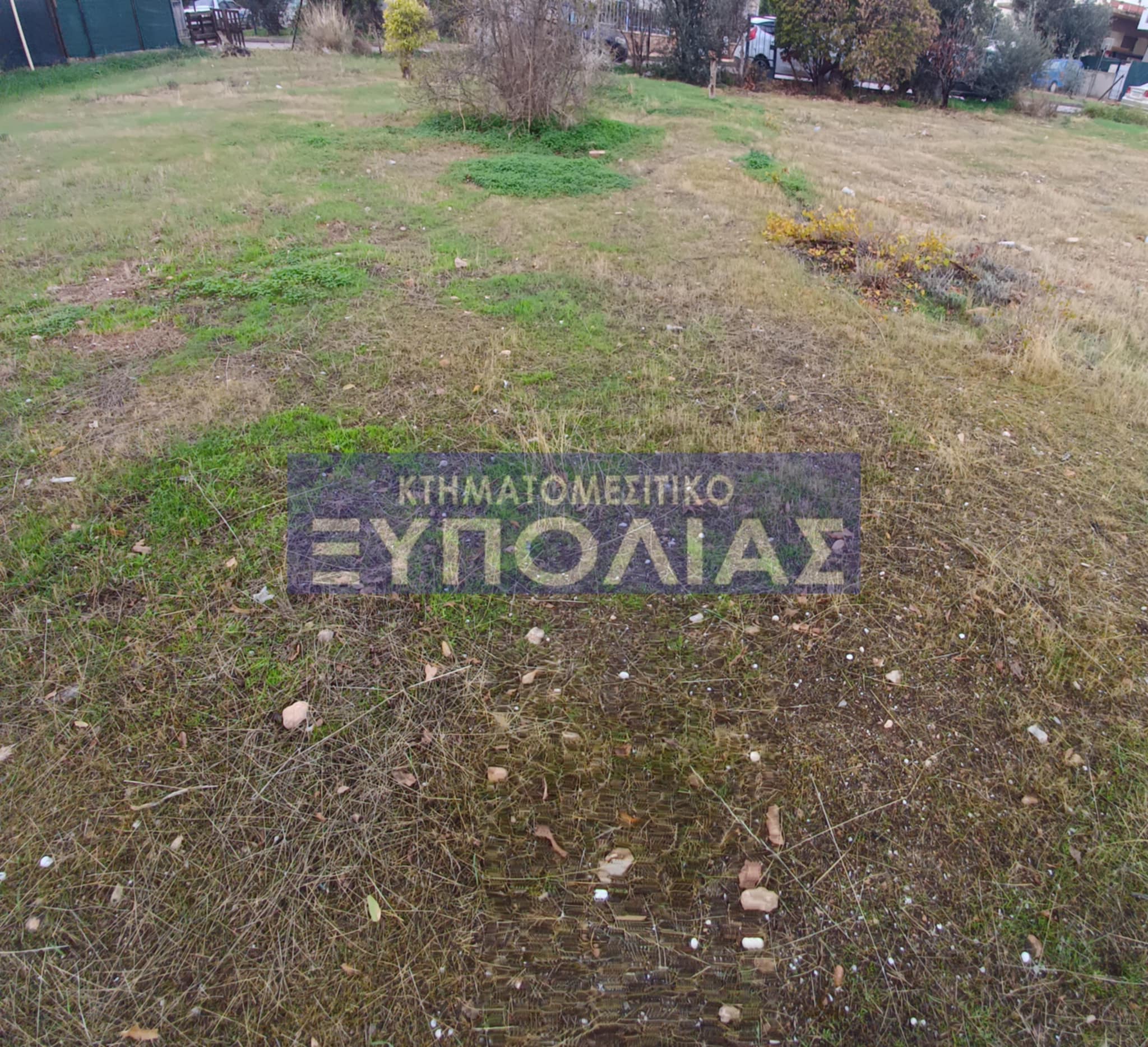 Oikopedo-miladeza-800