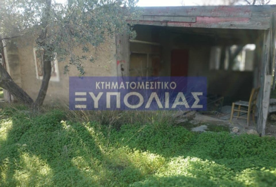 8feba0d6-5b81-468c-981e-0043c44492f0-1
