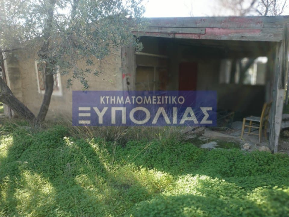 8feba0d6-5b81-468c-981e-0043c44492f0-2