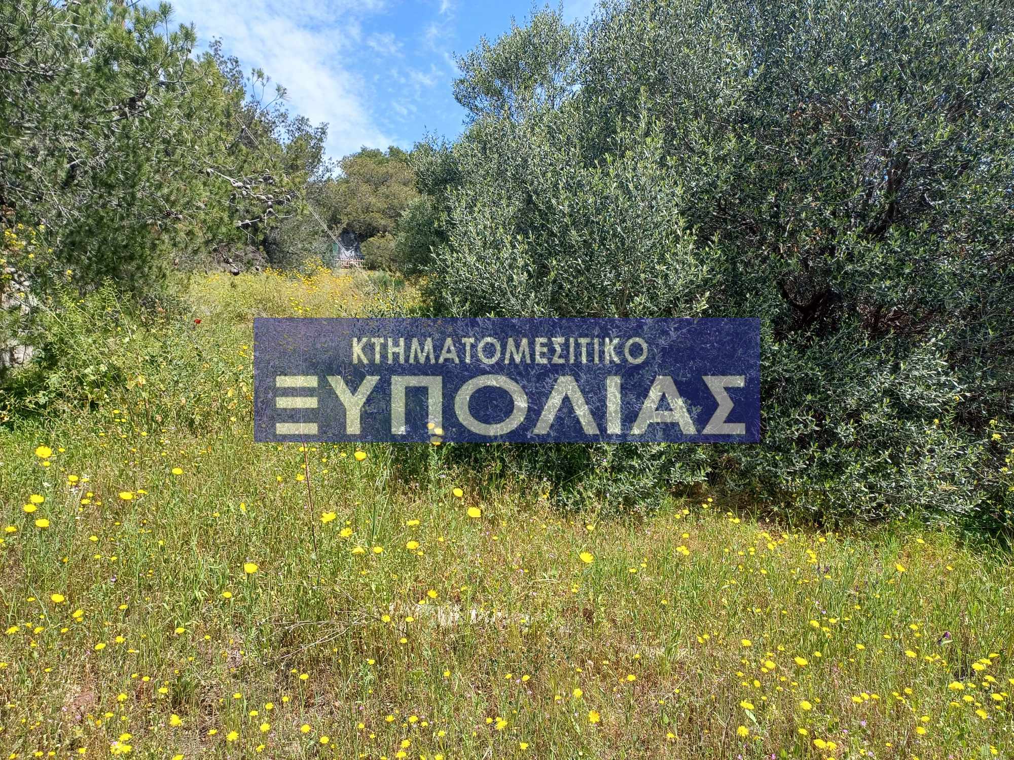 488748385_1197324458408828_1452097868491621084_n