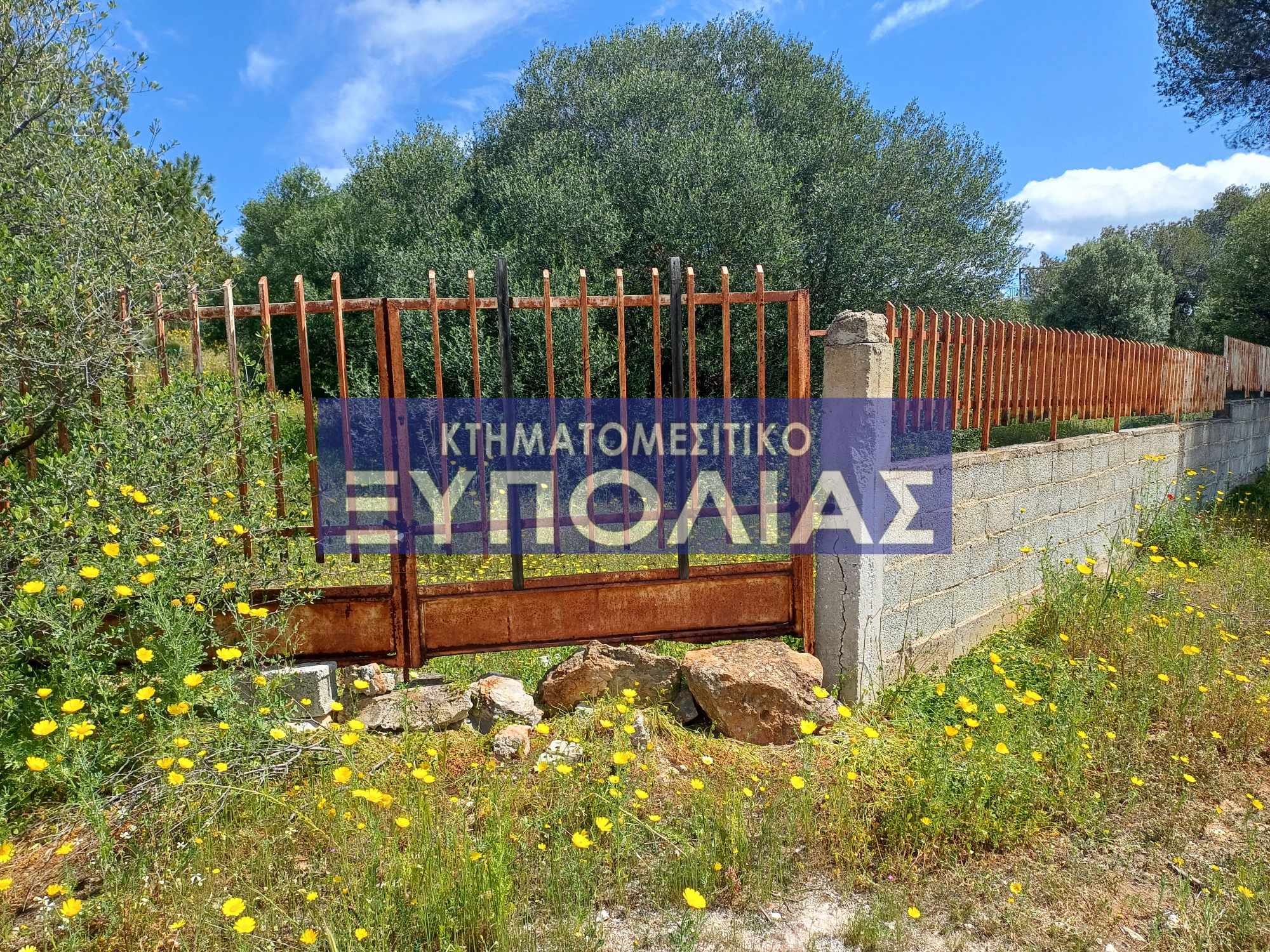 489730206_2995328900621947_4471243164883288907_n