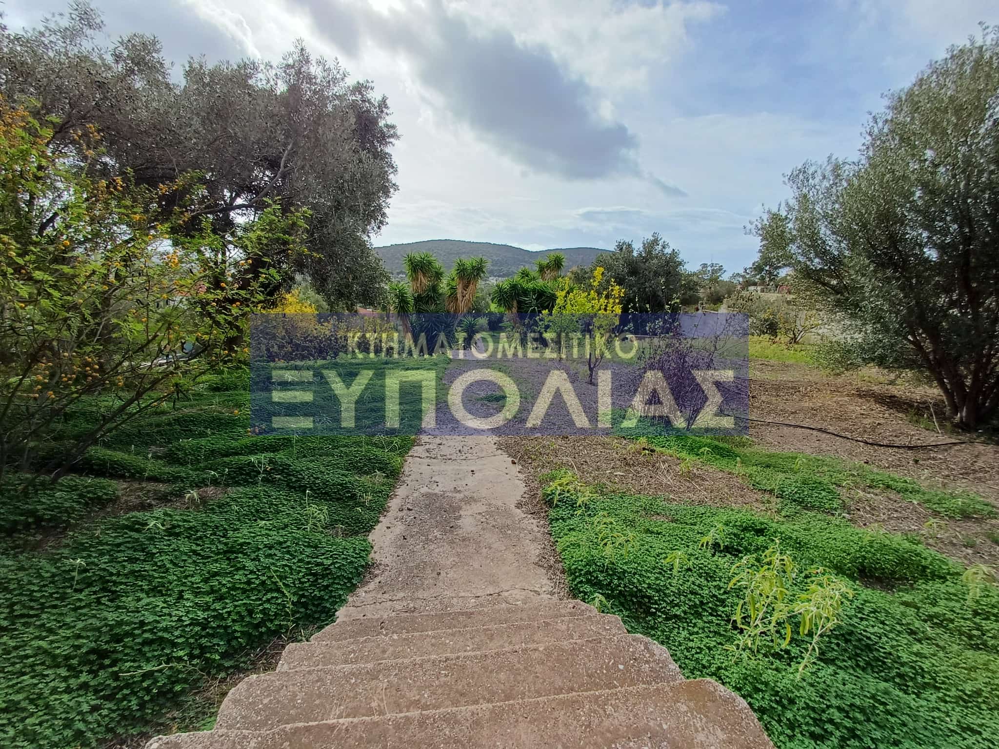 5612e5f6-053c-44cf-bba5-7ba8cc5b29e7