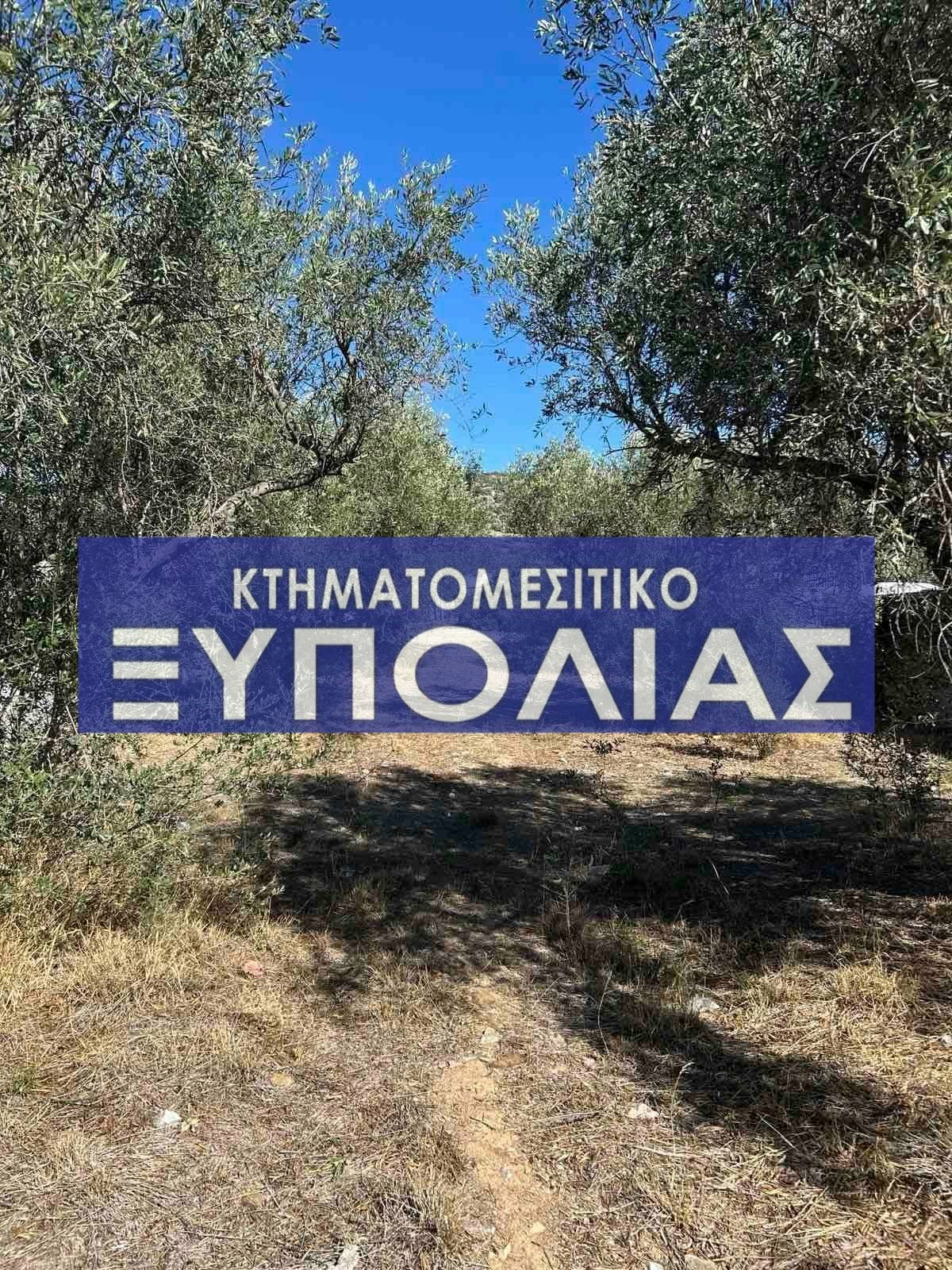 121c0449-1420-4f39-ace3-823720cf9aac