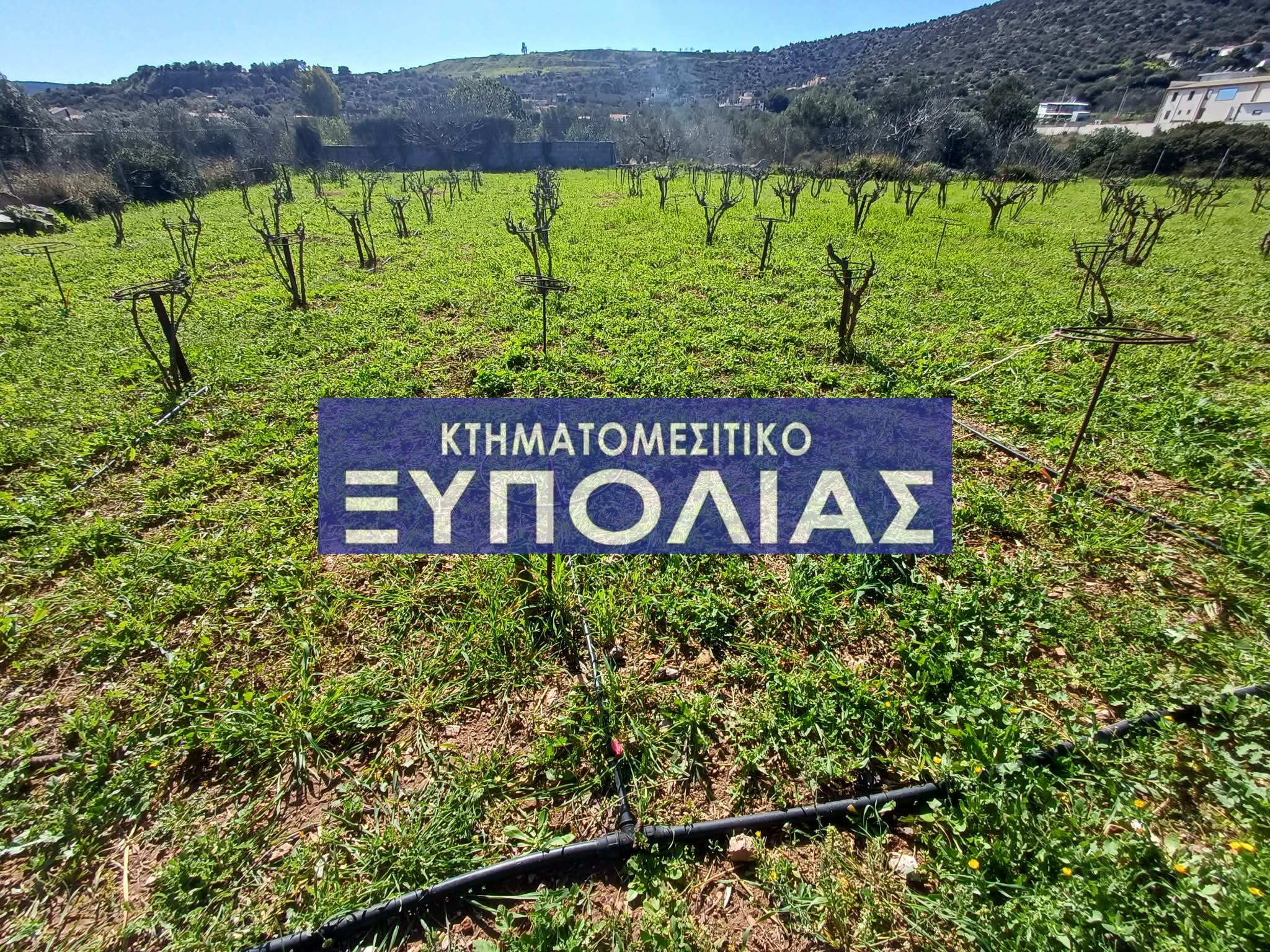 3f2c8b2b-b7b4-4277-ac4c-057a71c7e3fe