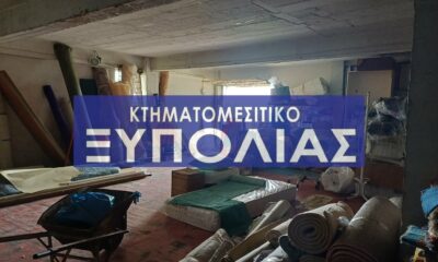 4097e27d-703a-4901-946f-ff72867d9529