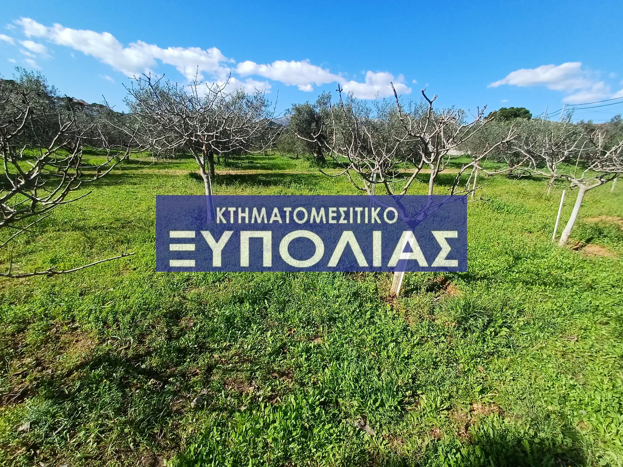 93b60750-5644-49c4-9296-15165895ca4f