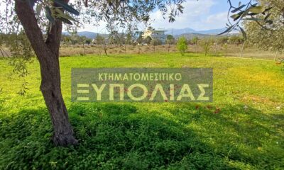 637ad7f8-29c6-444b-a742-1ff8b77d580a