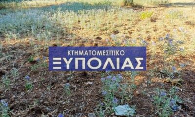 931365e6-8feb-4e97-a6e6-94ed8d4e63f7